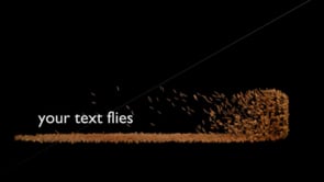 Your Text Flies Intro